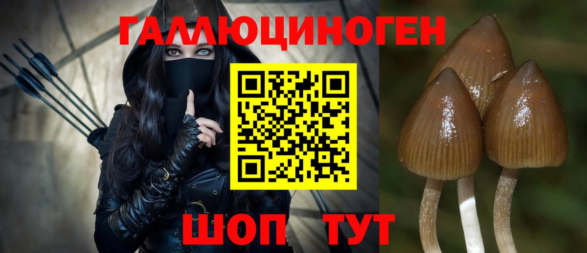 Галлюциногенные грибы мухоморы  Вход с VPN  Гурьевск  Псилоцибиновые грибы прущие грибы 